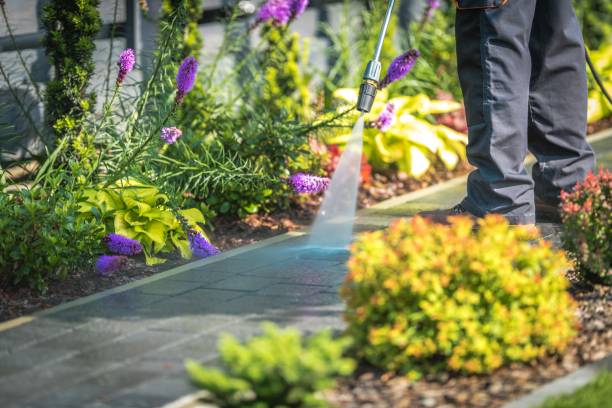 Best Brick and Stone Cleaning in Forest Glen, MD