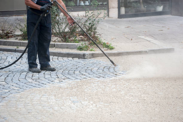 Best Driveway Cleaning and Restoration in Forest Glen, MD